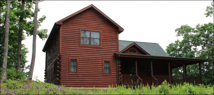 Professional Log Home Borate Application  Henry County, Virginia